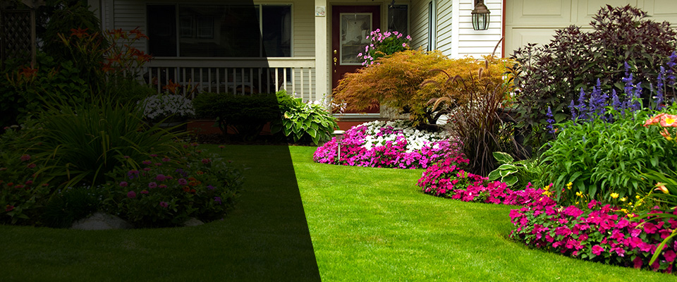 Wolcott Landscapers