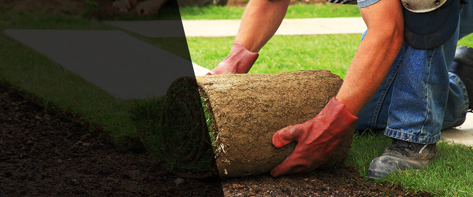 Wolcott Landscapers